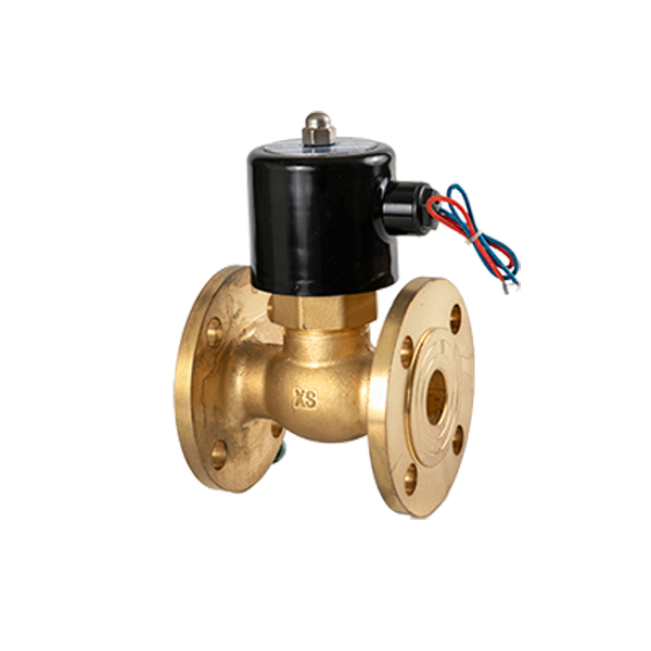 2L-20F-water solenoid valve 